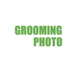 groomingphoto profile picture