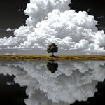 grootcut__dx profile picture