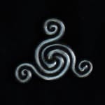 groovydari profile picture