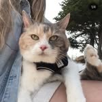 grumpymack profile picture