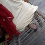 gsdhillon803 profile picture