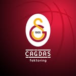 gskadinbasketbol profile picture