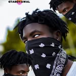 gtaboyawal profile picture