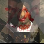 gtwdreco profile picture