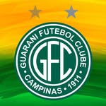 guaranifc_oficial profile picture
