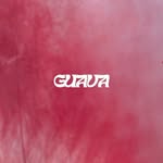 guava__________ profile picture