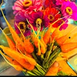guavaislandfarm profile picture