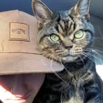 guckert_julian profile picture