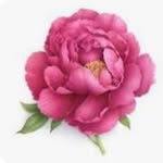gudiya8543kumari profile picture