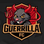 guerrillafcoficial profile picture