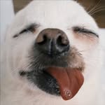 guiiidox profile picture