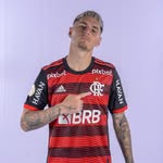 guillermovarela4 profile picture