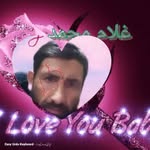 gulamsharqi profile picture