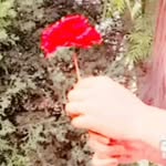 gulistaqueen_ profile picture