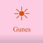 gunes.swim profile picture