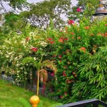 gunjagupta8946 profile picture