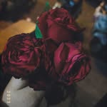 gunjanm18 profile picture