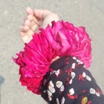 gurriyamaham profile picture