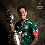 gustavogomez462 profile picture
