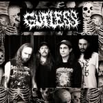 gutless.aus profile picture