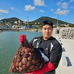 gyeongsang_do1 profile picture