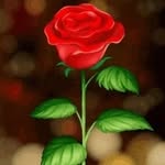 h9487799 profile picture