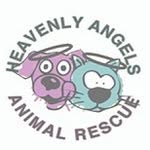 haarescue profile picture
