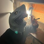 had_catratz profile picture