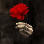 hadestown profile picture