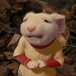 hahcee profile picture