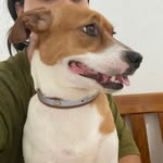 hailey_anana profile picture