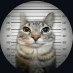 hail_hltr47 profile picture