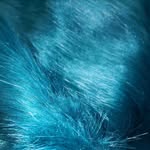 hairy_pixels.2 profile picture