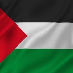 hakeem.alnajjar profile picture