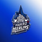 hakromerlins profile picture