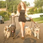 haleyandthepets profile picture