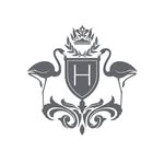 haloandco profile picture