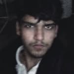hamedshaikkkkk profile picture