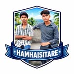 hamhaisitare profile picture