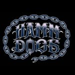 hamm_dogs profile picture