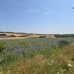 hampshire.hills profile picture
