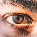 handheldtones profile picture