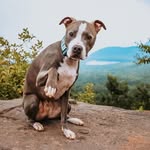 handsome.zeus profile picture