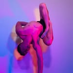 handstand.daddy profile picture