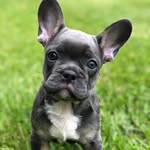 hanksrufflife profile picture