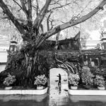hanoi_bn profile picture