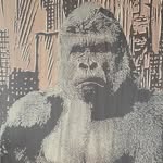 hans.weigand profile picture