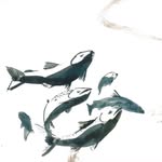 hansenandlydersen profile picture