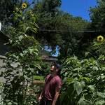 hanshart_ profile picture