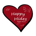 happyhides profile picture